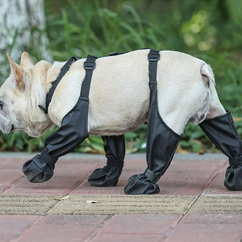 Dog Snow Booties - Protect Paws in These Waterproof Dog Booties