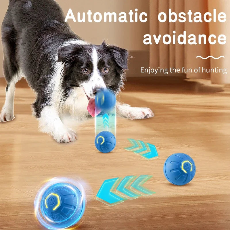 PawBounce – Smart LED Dog Play Ball