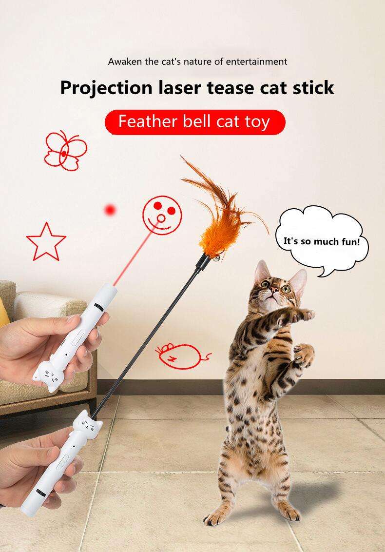 The Cat Stick Infrared Laser Light Pattern Toy