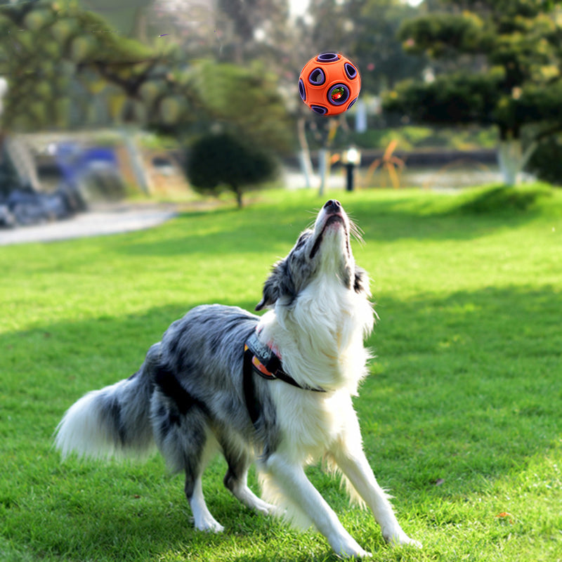 ChewChase™ Interactive Dog Ball