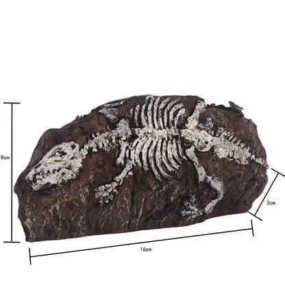 Fossil Aquarium Fish Tank Resin Ornaments