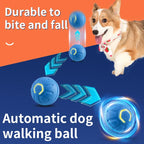 PawBounce – Smart LED Dog Play Ball