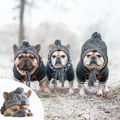 PoochPom - Polar Dog Pom Pom Hat