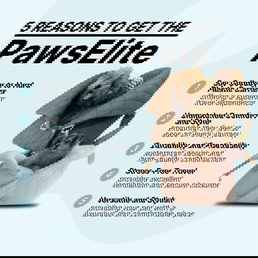 Meet The Premium Waterproof & Comfy Luxury Dog Carrier- PawsElite™️ - Kay B Hunt