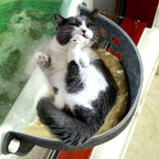 Purrfect Perch: Deluxe Cat Window Hammock - Kay B Hunt