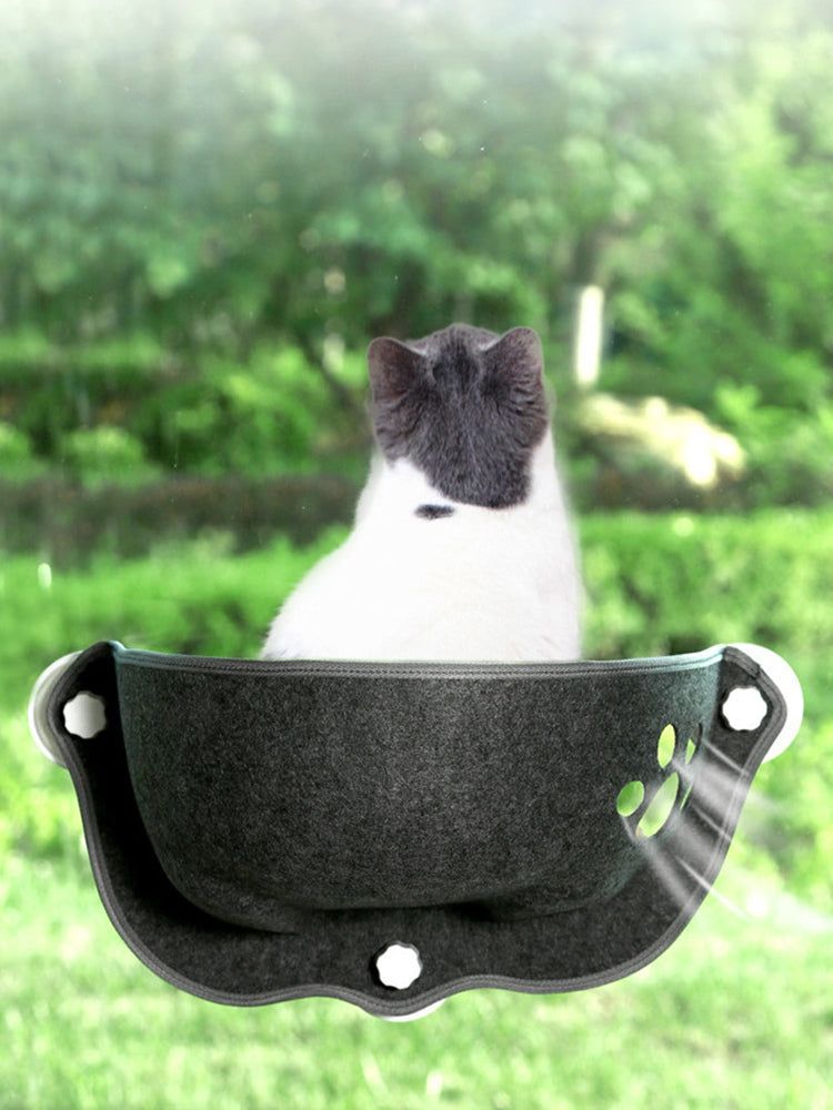 Purrfect Perch: Deluxe Cat Window Hammock - Kay B Hunt