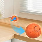 PawBounce – Smart LED Dog Play Ball